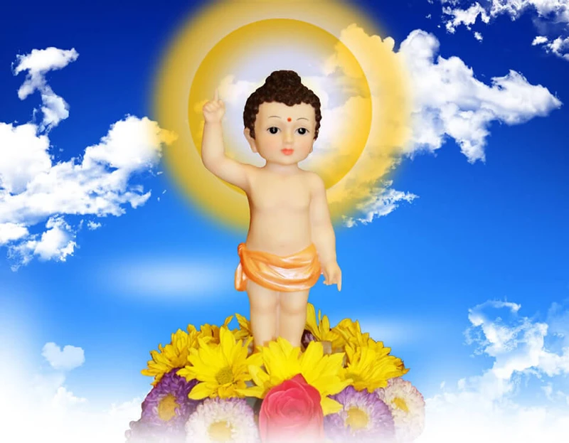 phat-thich-ca-moi-sinh-ra-da-biet-di-voi-7-buoc-no-ra-hoa-sen-1-tay-chi-len-mot-tay-chi-xuong-1cc2f3cf410d359004112ae18838b110