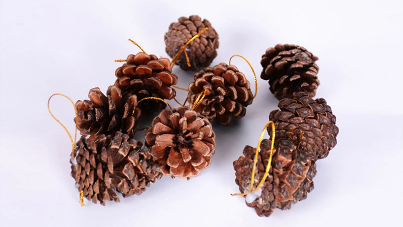 Sự độc đáo của quả thông giúp bạn có được cổng noel tuyệt đẹp