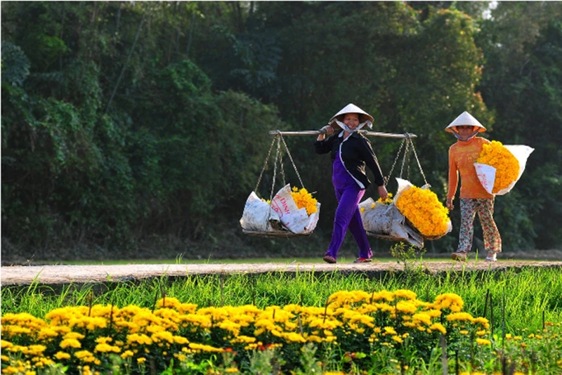 tet-que-3-d8c851d126b139b774739b26ab9aee19