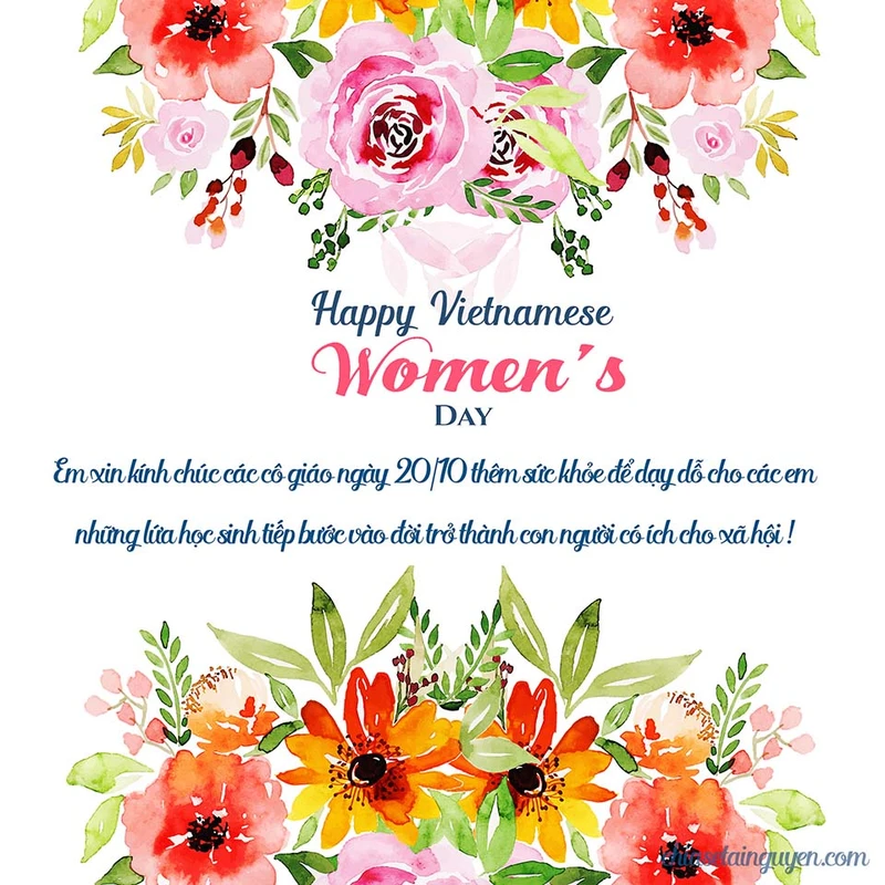 Bộ hình ảnh chúc mừng ngày 20/10 đẹp, độc đáo và ý nghĩa nhất 2025