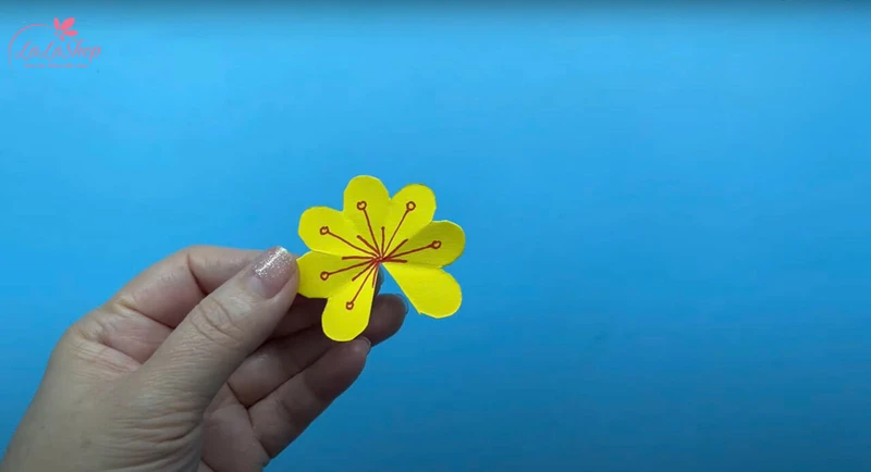 Trang trí bông hoa