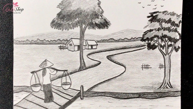 Tranh vẽ đồng lúa mênh mông