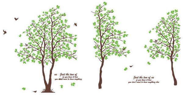 Decal dán tường cây dán 6 kiểu