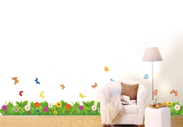 Chân tường cúc đồng tiền