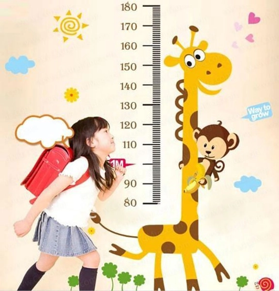 Thước đo hươu 2