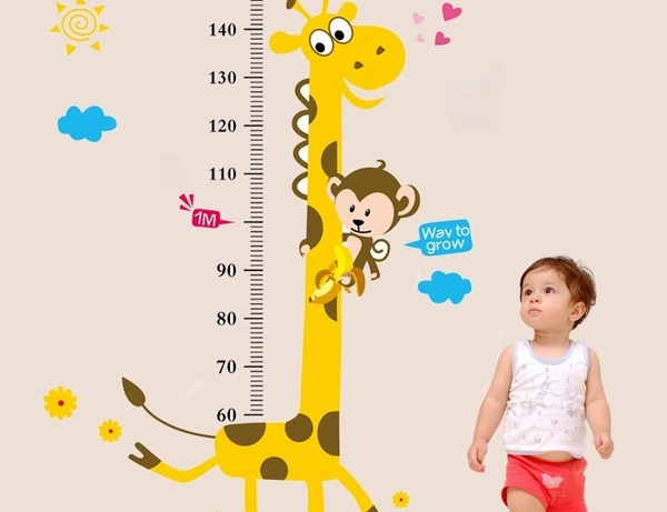 Thước đo hươu 2