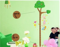 Thước đo cây si