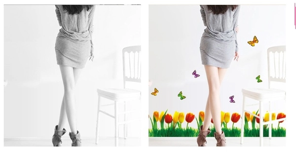 Chân tường tulip 2