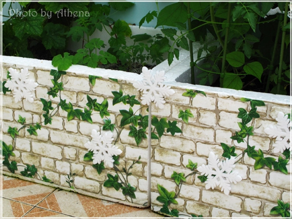 Giấy Decal cuộn giả gạch trắng dây leo xanh khổ 0,45m