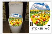 Dán toilet nắng xuân