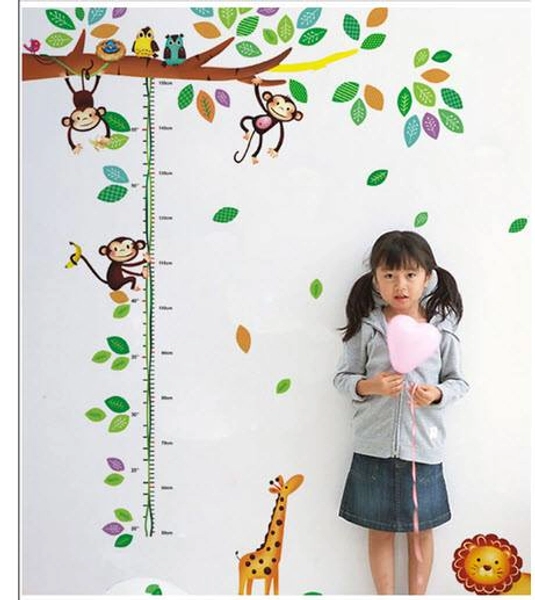 Thước đo vườn thú 3