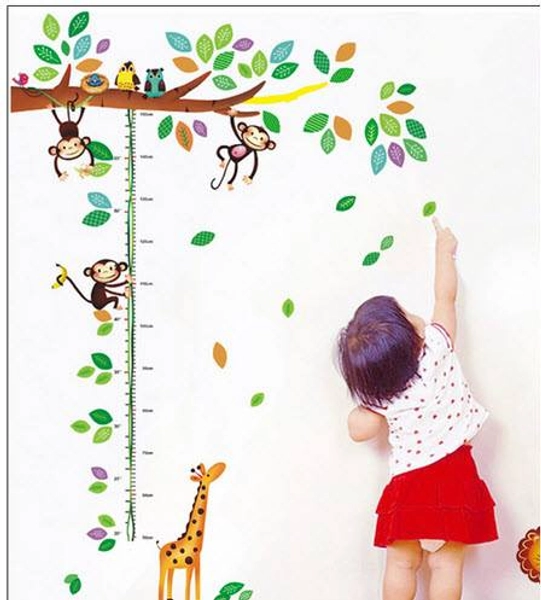 Thước đo vườn thú 3