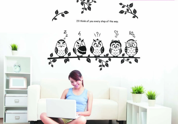 Chim cú trắng đen