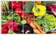 Decal dán bếp các loại rau size 60x90cm