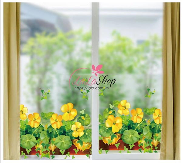 Chân tường cỏ may mắn