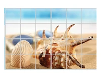 Decal dán bếp vỏ ốc 2 size 60x90cm