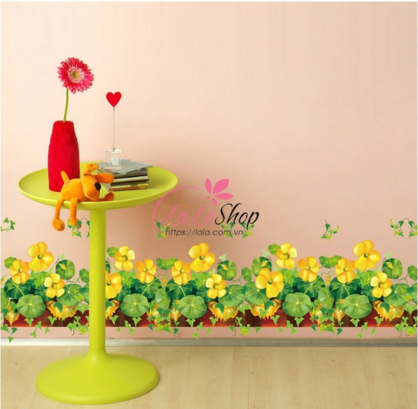 Chân tường cỏ may mắn