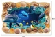 Decal 3D dán tường Cá heo và sò biển