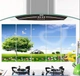 Dán bếp cây xanh size 60x90cm