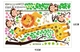 Decal dán tường thước đo hươu vàng và khỉ đu dây