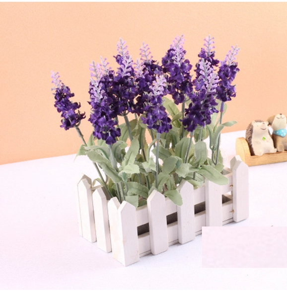 Hàng rào lavender chữ nhật