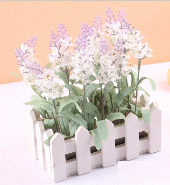 Hàng rào lavender chữ nhật