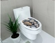 Dán toilet viên sỏi