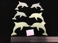 Cá heo dạ quang bộ 6 cái