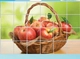 Dán bếp giỏ táo size 60x90cm