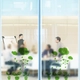Decal kính mờ 3 chậu cây 2
