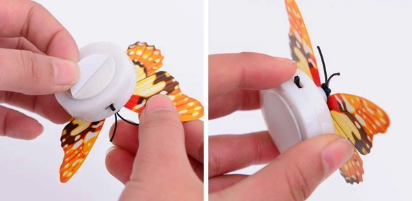 Đèn led bướm 3D