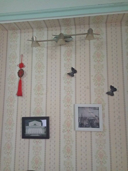 Giấy decal cuộn lá xanh