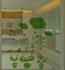Decal kính mờ 3 chậu cây 2
