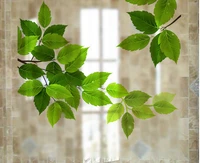 Decal kính mờ lá xanh 3