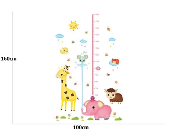 Decal thước đo voi hồng