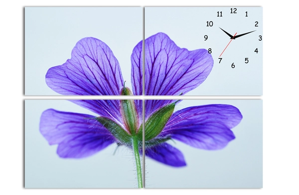 Tranh đồng hồ hoa cánh tím