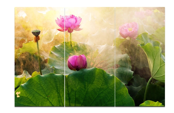 Tranh treo tường đầm sen size 3 tấm