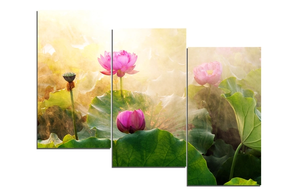 Tranh treo tường đầm sen size 3 tấm