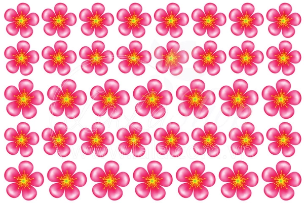 Decal hoa đào hồng 5 cánh