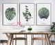 Tranh treo tường lá xanh 10