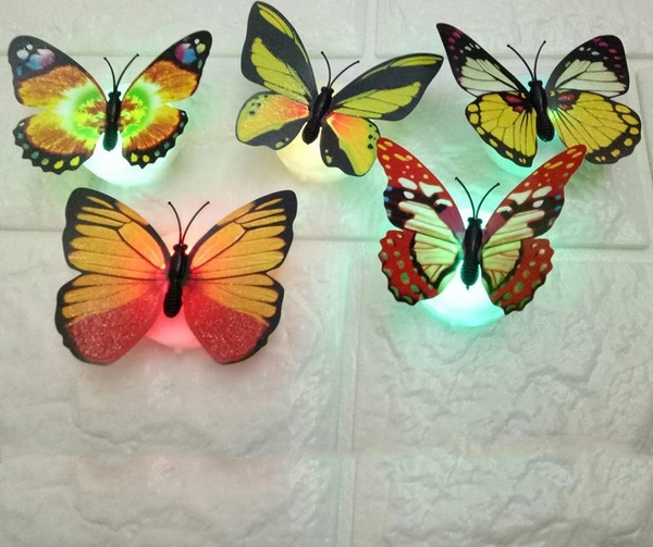 Đèn led bướm 3D