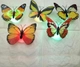 Đèn led bướm 3D