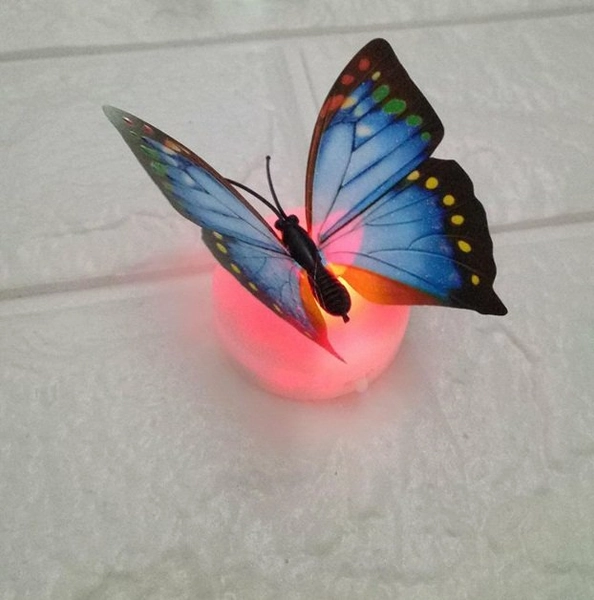 Đèn led bướm 3D