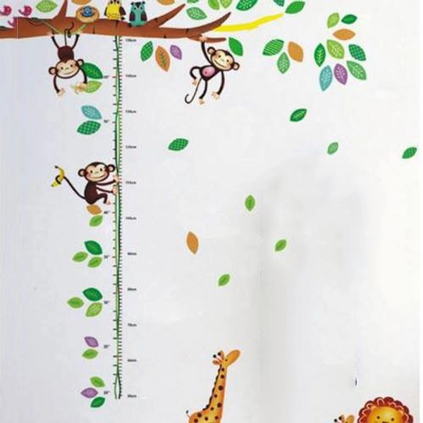 Thước đo vườn thú 3