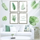 Decal dán tường Combo khung ảnh và dán tường lá xanh