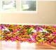 Decal 3D Thảm hoa cúc đồng tiền đa sắc