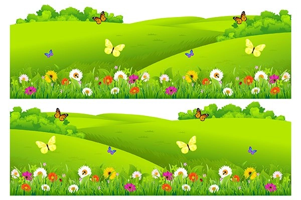 Decal Dán Chân Tường Hoa Cỏ Mùa Xuân 5