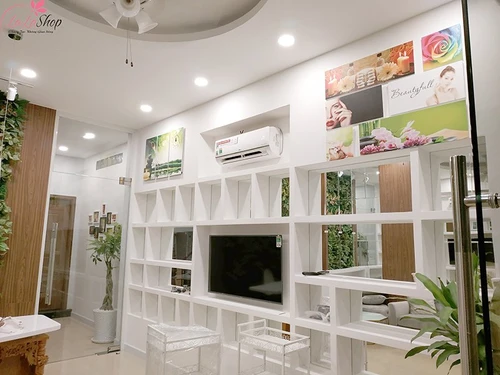 Tranh treo tường hoa mẫu đơn cách điệu (HG)