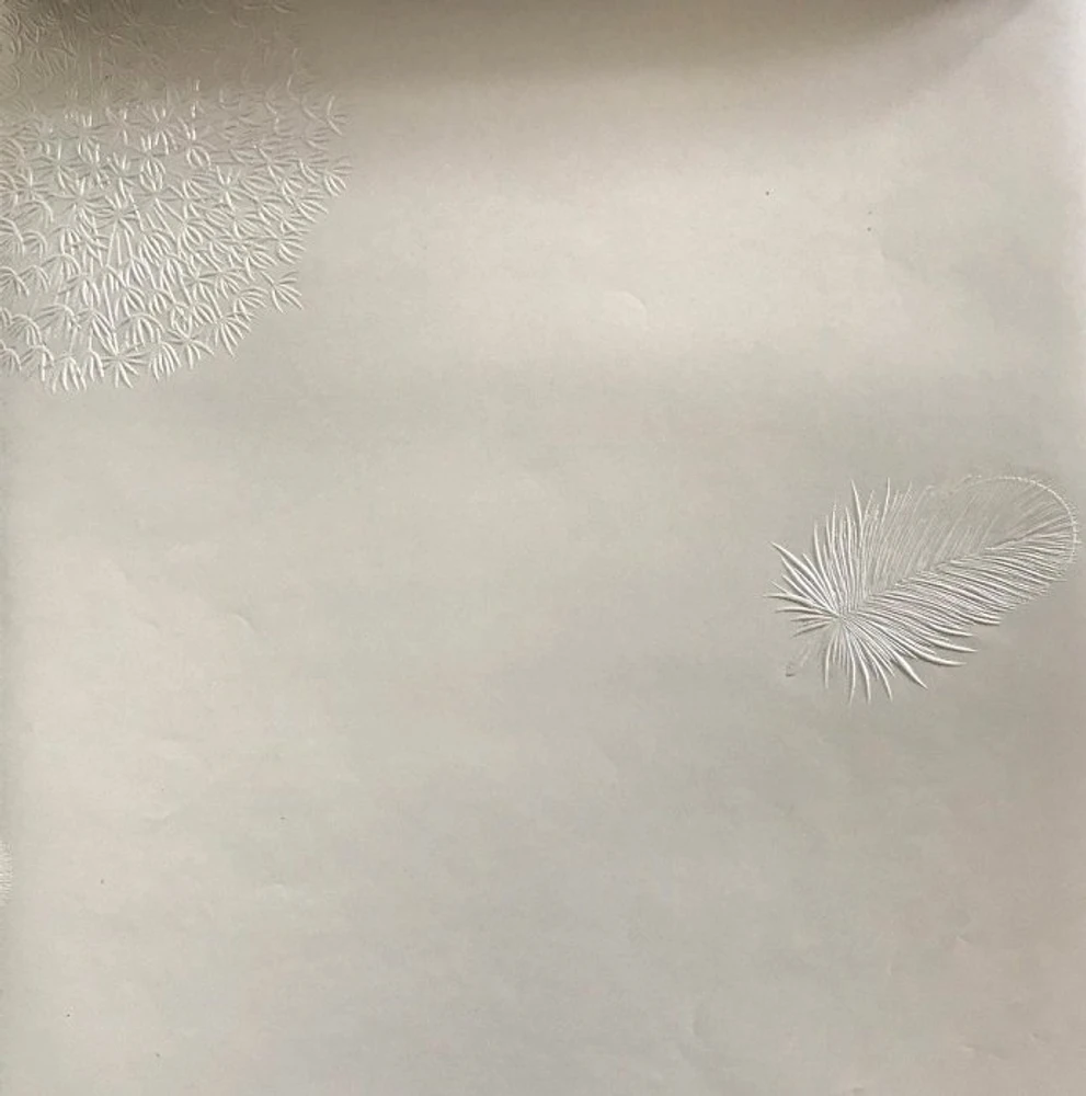 Giấy decal cuộn bồ công anh 2 khổ 1m2