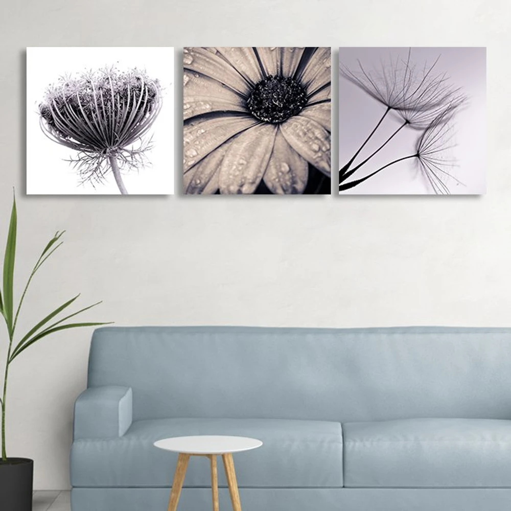 Tranh treo tường bồ công anh đơn sắc